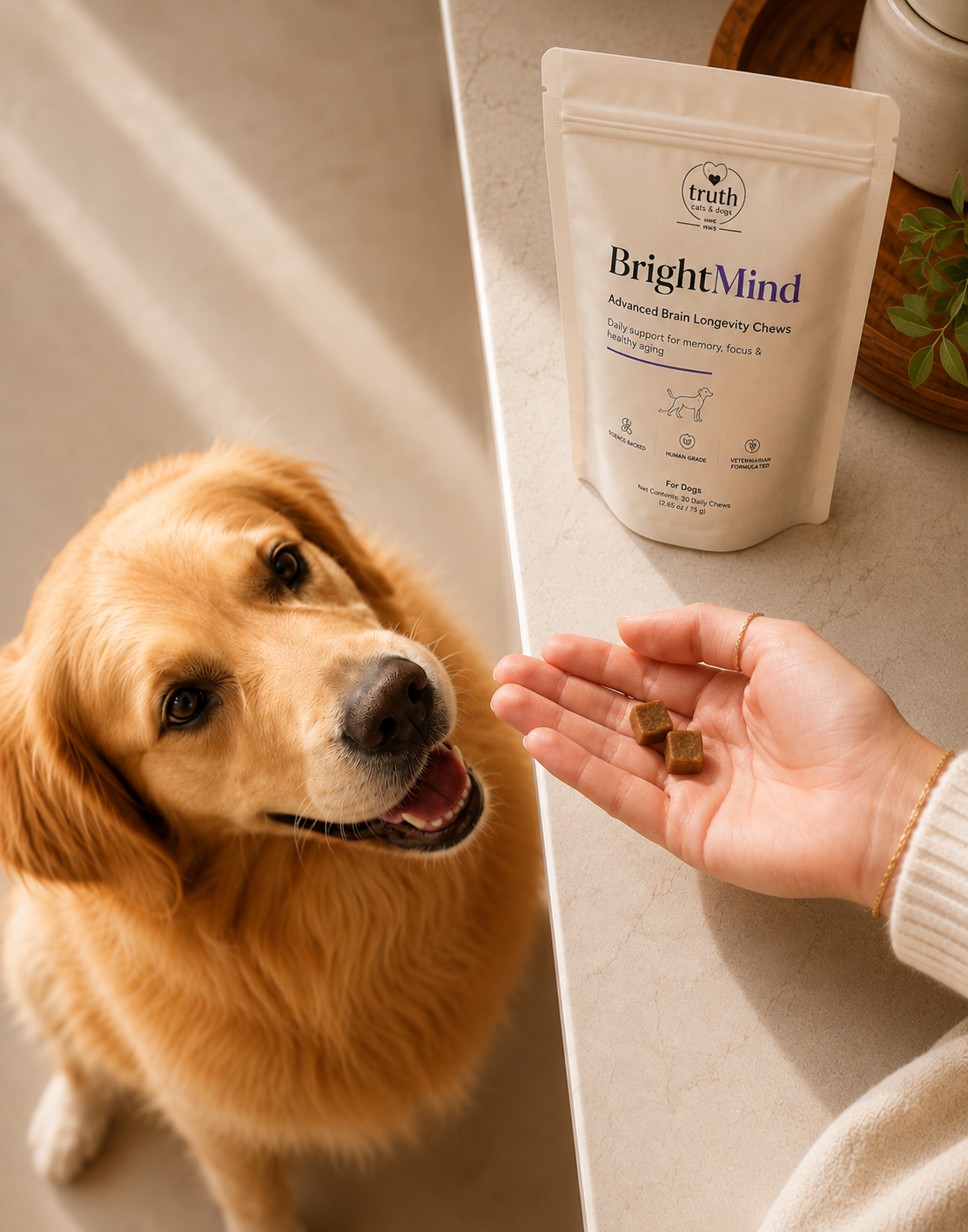 A golden retriever looking at a hand holding BrightMind daily brain chews beside a BrightMind pouch