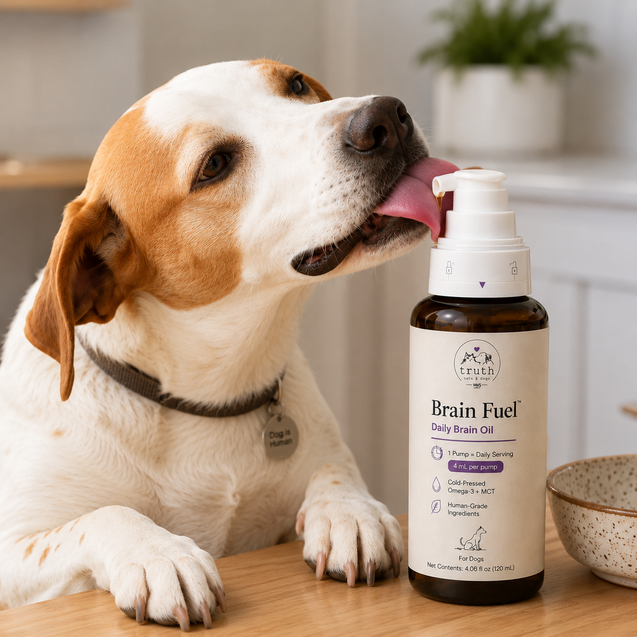 A happy dog licking a Brain Fuel bottle — Daily Brain Oil