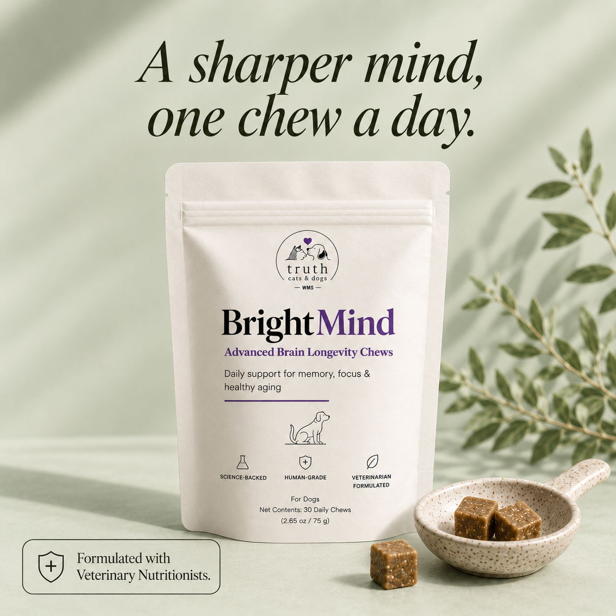 BrightMind — the daily cognitive chew